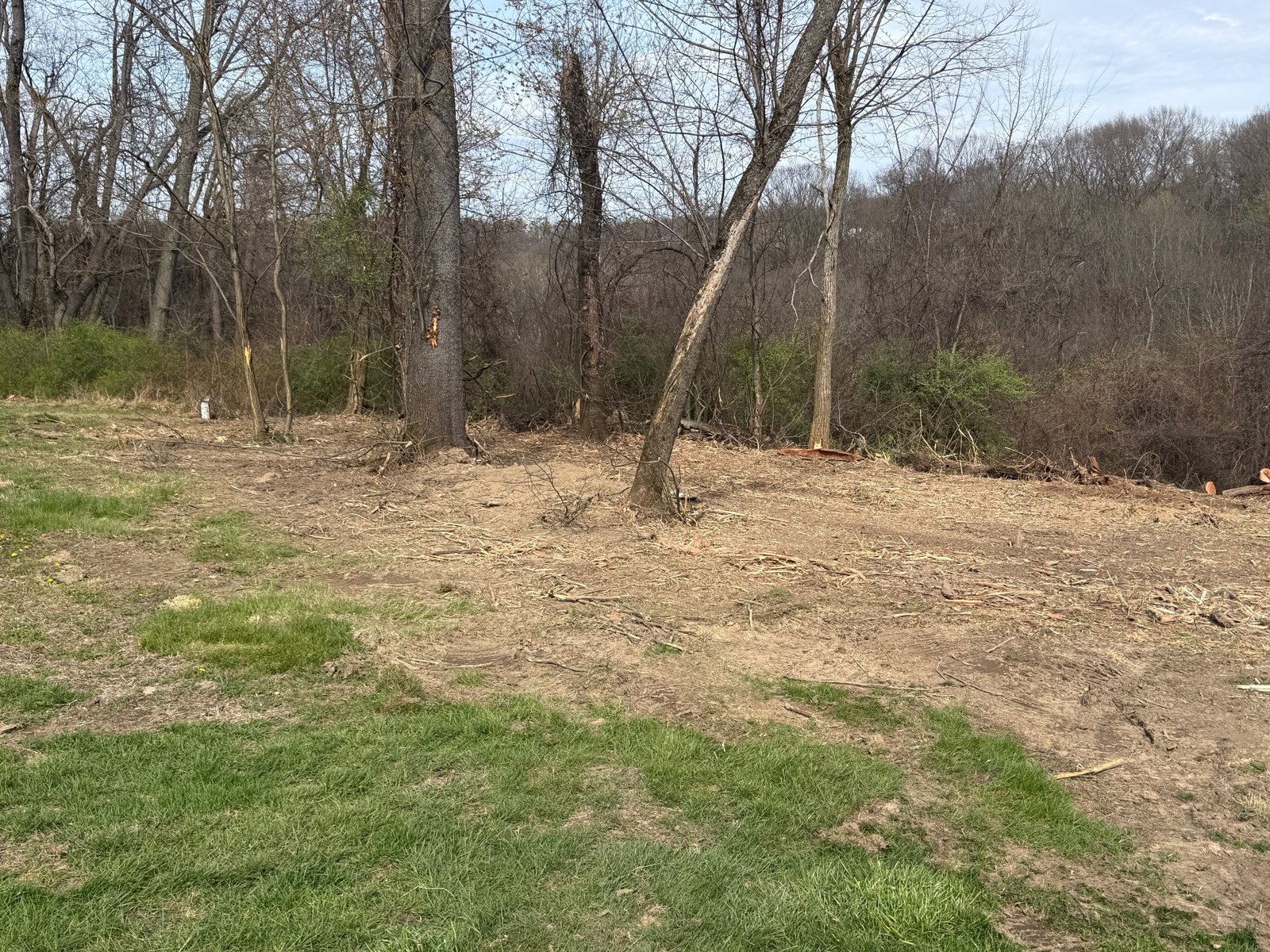 Forest Floor Reclamation